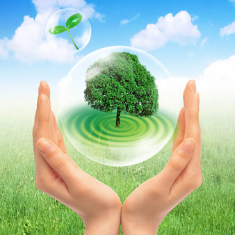 QSE Consultants